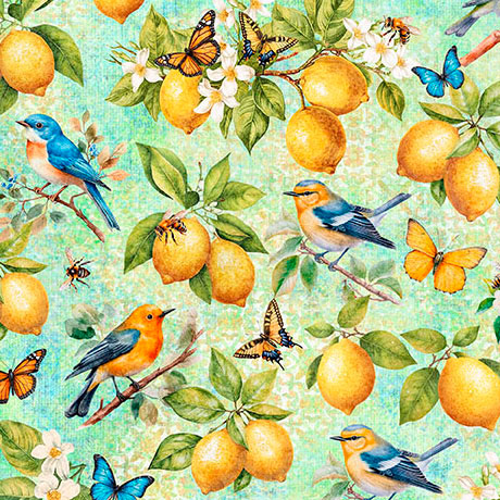 CITRUS BLISS             